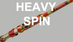 heavy-spin-tn
